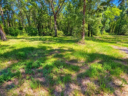 Saratoga, TX 77585 Hardin County
