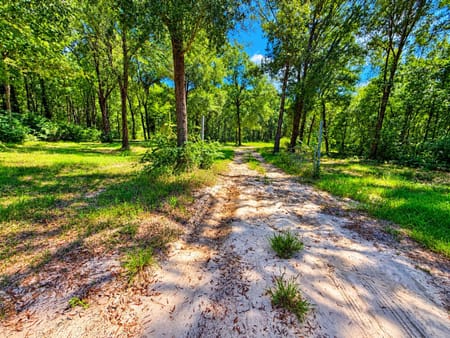 Saratoga, TX 77585 Hardin County