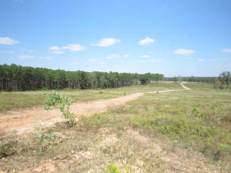 Woodville, TX 75979 Tyler County
