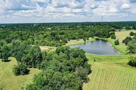 Huntsville, TX 77340 Walker County
