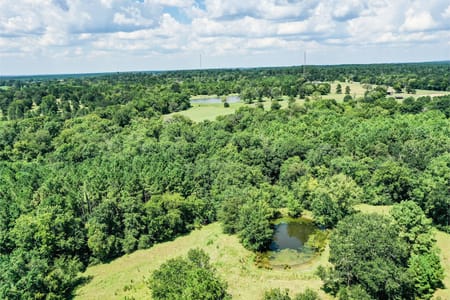 Huntsville, TX 77340 Walker County