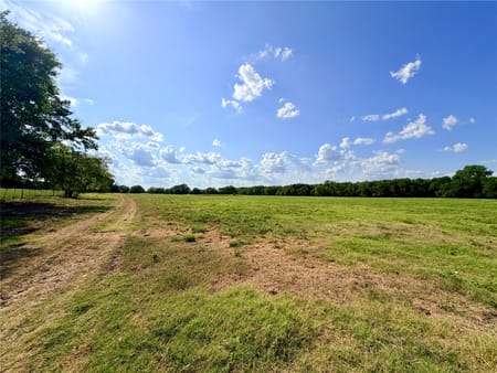 Cooper, TX 75432 Delta County