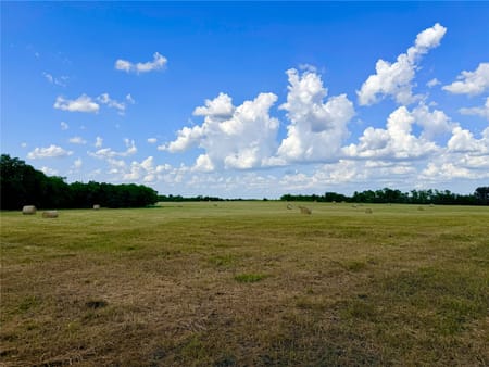 Cooper, TX 75432 Delta County