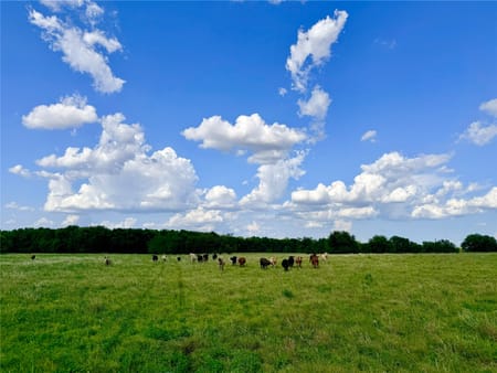 Cooper, TX 75432 Delta County