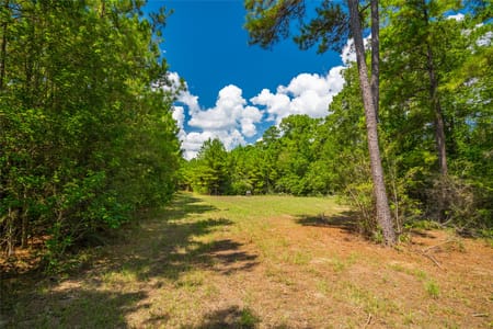 Jasper, TX 75951 Jasper County