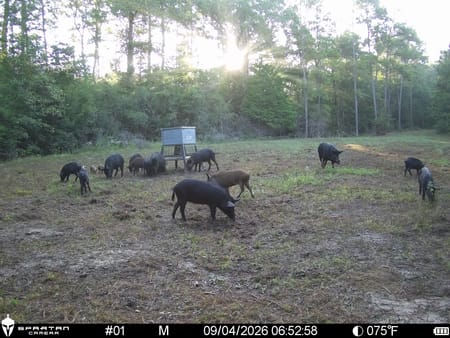 Jasper, TX 75951 Jasper County