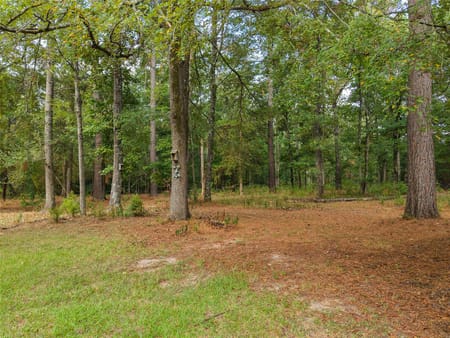 Hughes Springs, TX 75656 Cass County