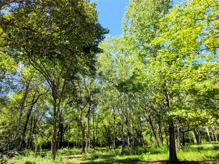 Batson, TX 77519 Hardin County