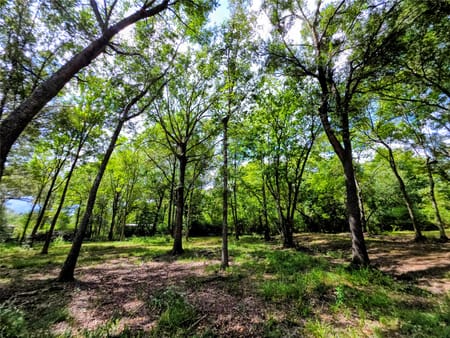 Batson, TX 77519 Hardin County