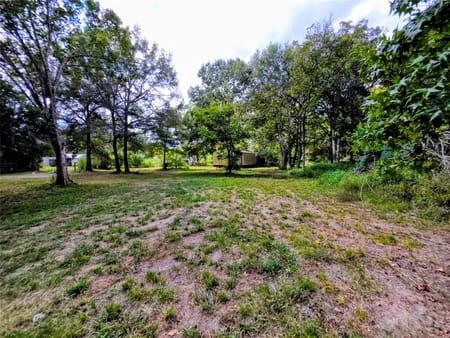 Batson, TX 77519 Hardin County