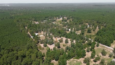 Huntsville, TX 77320 Walker County