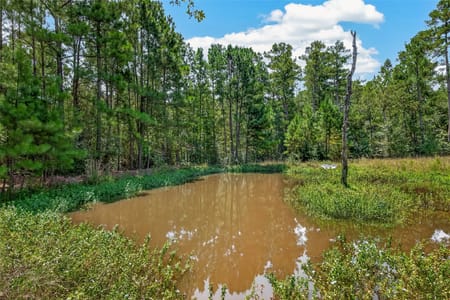 Huntsville, TX 77320 Walker County