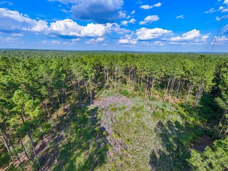 Woodville, TX 75979 Tyler County