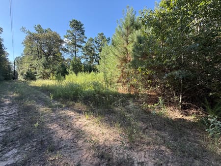 Lovelady, TX 75851 Houston County