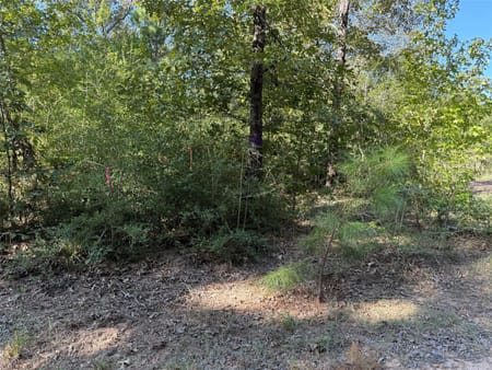 Lovelady, TX 75851 Houston County