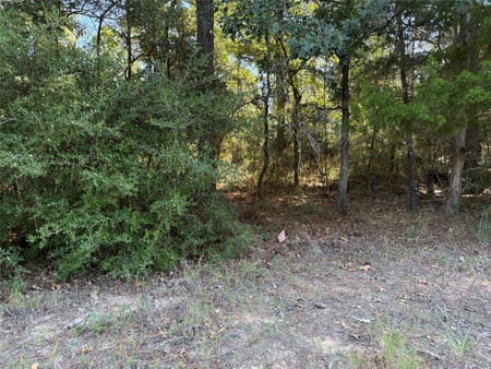 Lovelady, TX 75851 Houston County