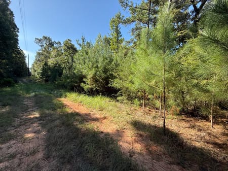 Lovelady, TX 75851 Houston County