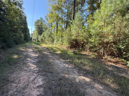 Lovelady, TX 75851 Houston County