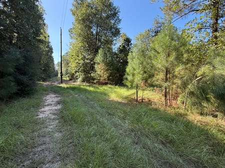 Lovelady, TX 75851 Houston County
