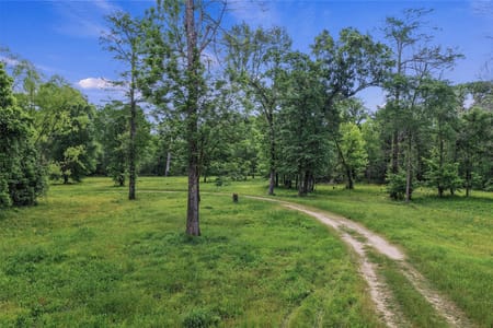 Carthage, TX 75633 Panola County