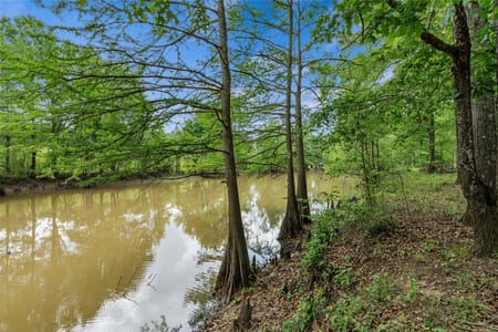Carthage, TX 75633 Panola County