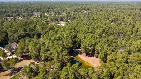Magnolia, TX 77354 Montgomery County