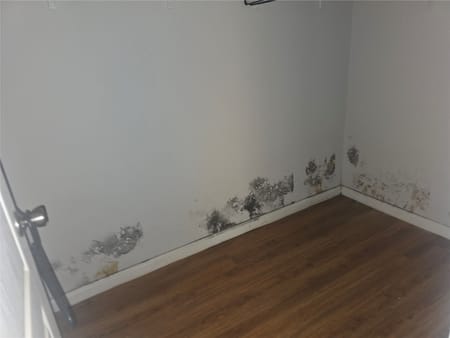 Elkhart, TX 75839 Anderson County
