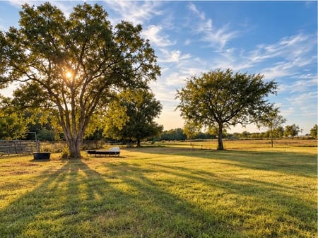 Bellville, TX 77418 Austin County