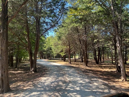 Sadler, TX 76264 Grayson County