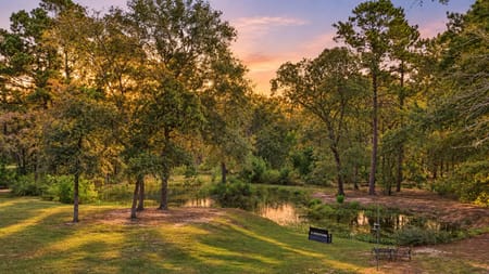 Navasota, TX 77868 Grimes County