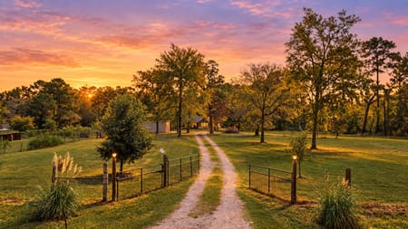 Navasota, TX 77868 Grimes County