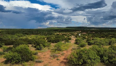 Winters, TX 79567 Runnels County
