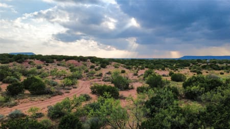 Winters, TX 79567 Runnels County