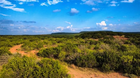 Winters, TX 79567 Runnels County