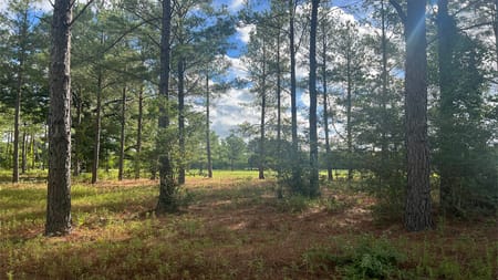 Crockett, TX 75835 Houston County