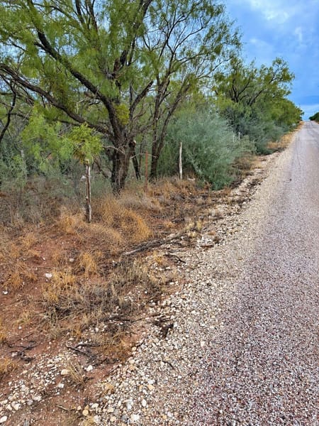 Trent, TX 79561 Nolan County