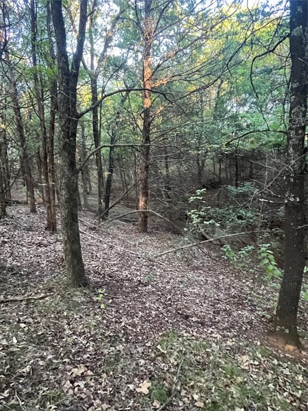 Sadler, TX 76264 Grayson County