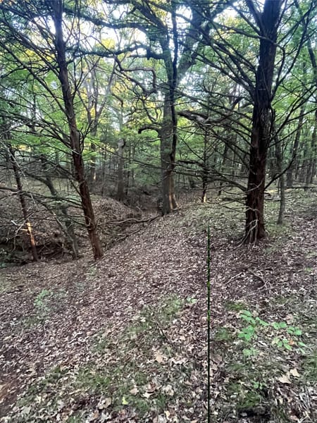 Sadler, TX 76264 Grayson County