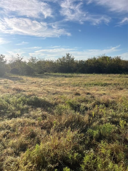 Sadler, TX 76264 Grayson County