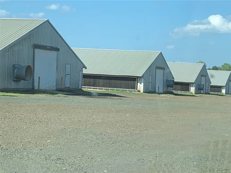 San Augustine, TX 75959 Sabine County