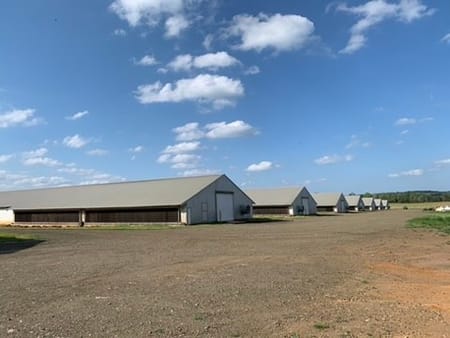 San Augustine, TX 75959 Sabine County
