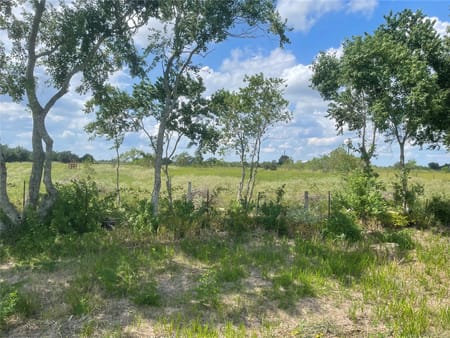 Sealy, TX 77474 Austin County
