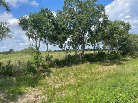 Sealy, TX 77474 Austin County