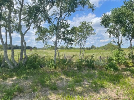 Sealy, TX 77474 Austin County