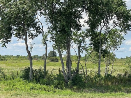 Sealy, TX 77474 Austin County
