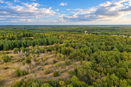 Palestine, TX 75803 Anderson County