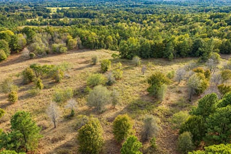 Palestine, TX 75803 Anderson County