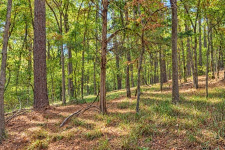 Palestine, TX 75803 Anderson County