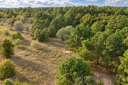Palestine, TX 75803 Anderson County