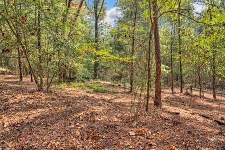 Palestine, TX 75803 Anderson County